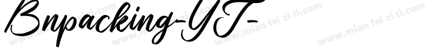 Bnpacking-YT字体转换