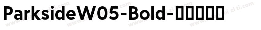 ParksideW05-Bold字体转换