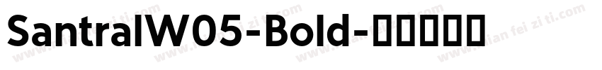 SantralW05-Bold字体转换