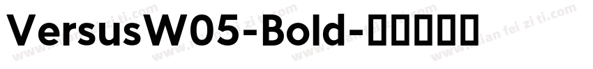 VersusW05-Bold字体转换