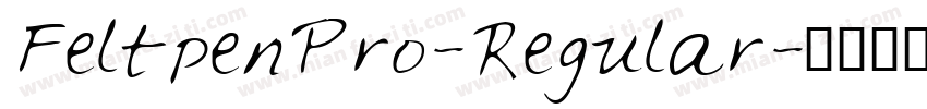 FeltpenPro-Regular字体转换
