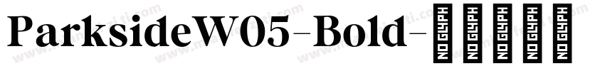 ParksideW05-Bold字体转换