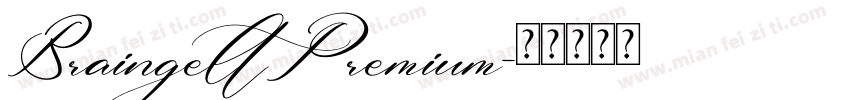 BraingeltPremium字体转换