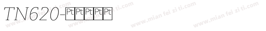 TN620字体转换