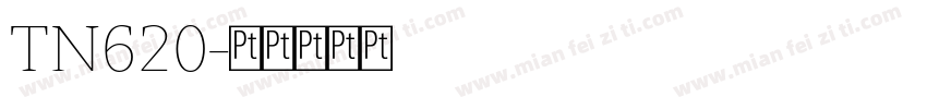 TN620字体转换