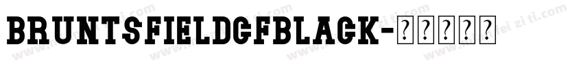 BruntsfieldCFBlack字体转换