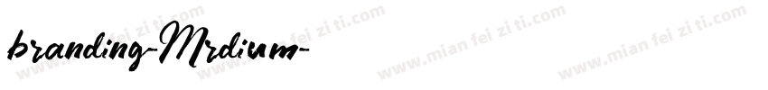 branding-Mrdium字体转换