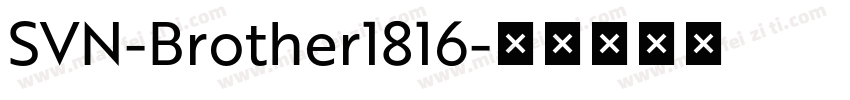 SVN-Brother1816字体转换