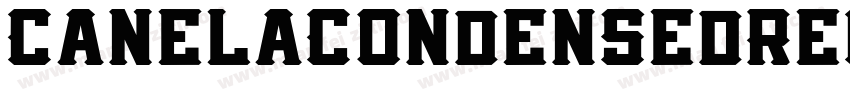 CanelaCondensedRegul字体转换