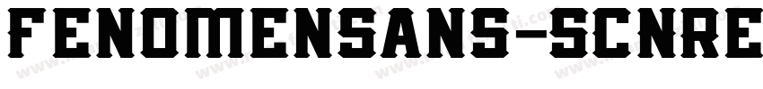 FenomenSans-SCNRegul字体转换