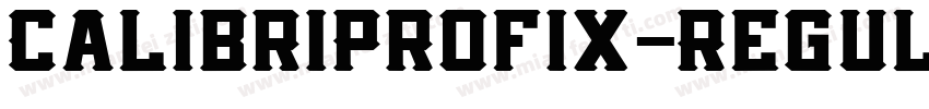 CalibriProfix-Regul字体转换