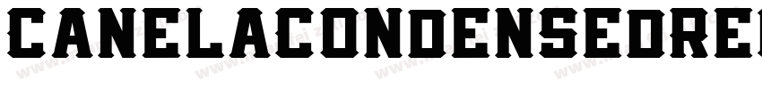 CanelaCondensedRegul字体转换