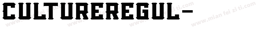 CultureRegul字体转换