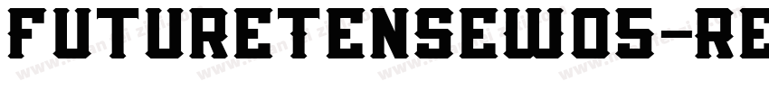FutureTenseW05-Regul字体转换
