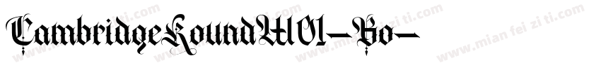 CambridgeRoundW01-Bo字体转换