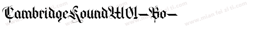 CambridgeRoundW01-Bo字体转换