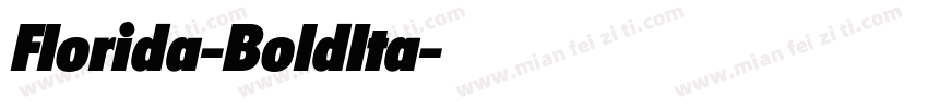 Florida-BoldIta字体转换
