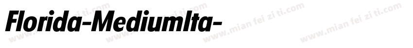 Florida-MediumIta字体转换