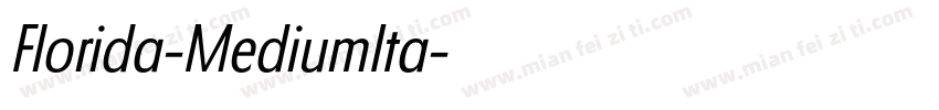 Florida-MediumIta字体转换