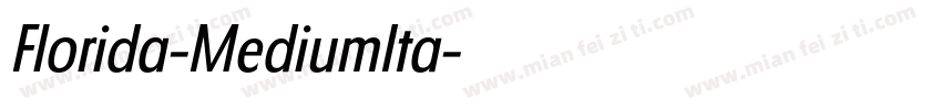 Florida-MediumIta字体转换