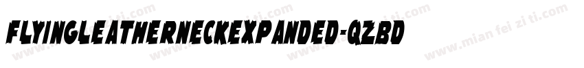 FlyingLeatherneckExpanded-qzBd字体转换