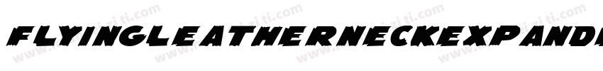 FlyingLeatherneckExpanded-qzBd字体转换