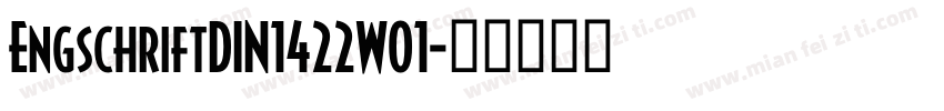 EngschriftDIN1422W01字体转换