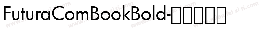 FuturaComBookBold字体转换