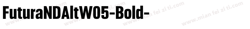 FuturaNDAltW05-Bold字体转换