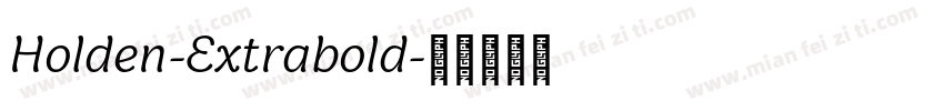 Holden-Extrabold字体转换