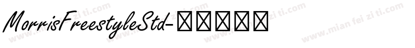 MorrisFreestyleStd字体转换
