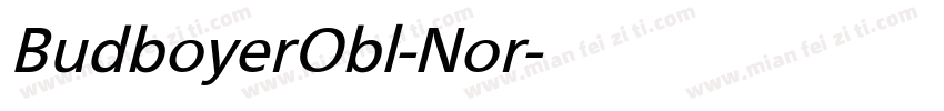 BudboyerObl-Nor字体转换