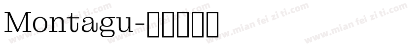 Montagu字体转换