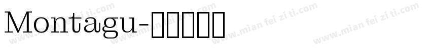 Montagu字体转换