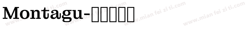 Montagu字体转换