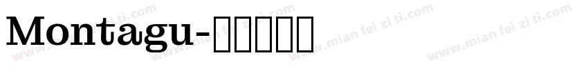 Montagu字体转换