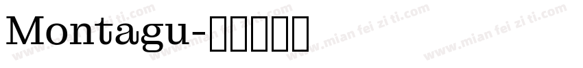 Montagu字体转换