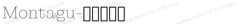 Montagu字体转换