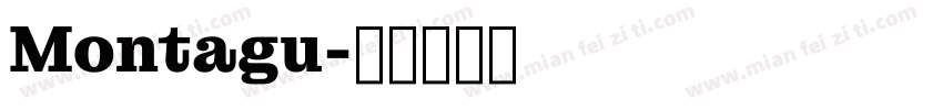Montagu字体转换