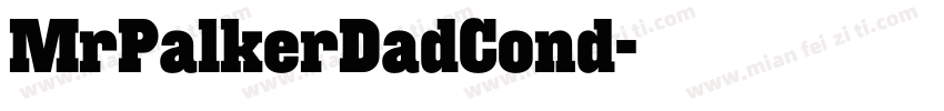MrPalkerDadCond字体转换