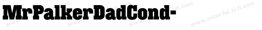 MrPalkerDadCond字体转换
