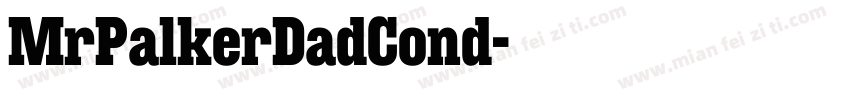 MrPalkerDadCond字体转换