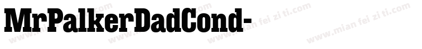 MrPalkerDadCond字体转换
