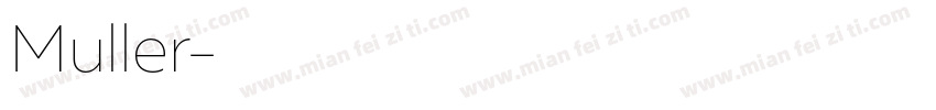 Muller字体转换
