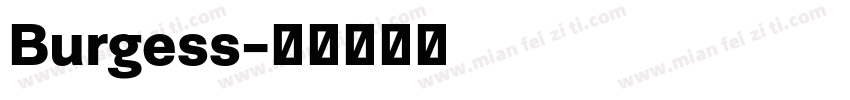 Burgess字体转换