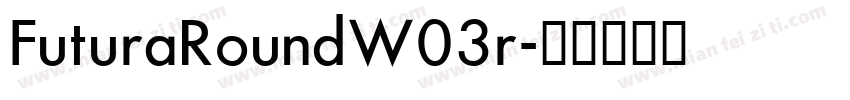 FuturaRoundW03r字体转换