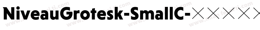NiveauGrotesk-SmallC字体转换