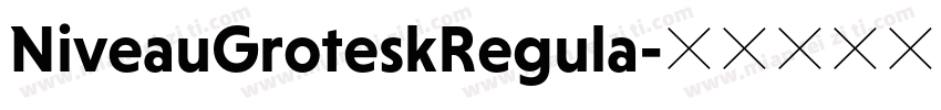 NiveauGroteskRegula字体转换