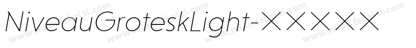 NiveauGroteskLight字体转换