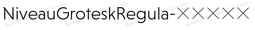 NiveauGroteskRegula字体转换